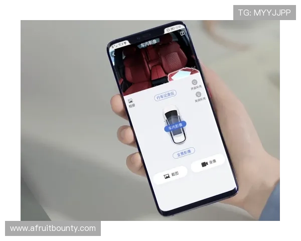 凯发手机版APP：安全保障与隐私保护措施，放心娱乐无忧