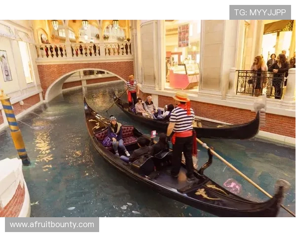 威尼斯人真人娱乐在线体验指南全面解析游戏流程与操作技巧 威尼斯人真人娱乐在线体验指南全面解析游戏流程与操作技巧