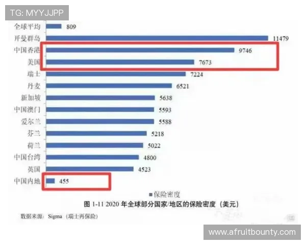 DG视讯平台的未来发展趋势与行业竞争格局深度分析与预测