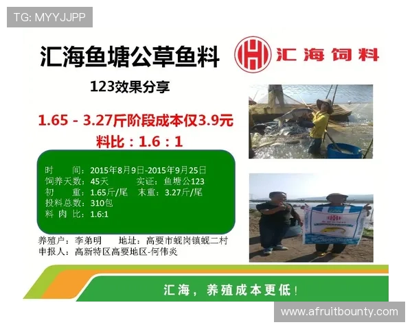 真人鱼塘补单平台官网全面解析，教你如何选择优质补单平台保障账号安全